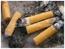 Cigarettes in Ashtray