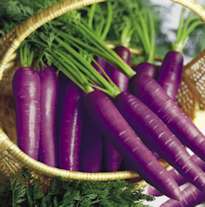 nlp techniques Purple Carrots