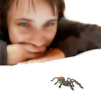 spider with girl how to stop a panic attack